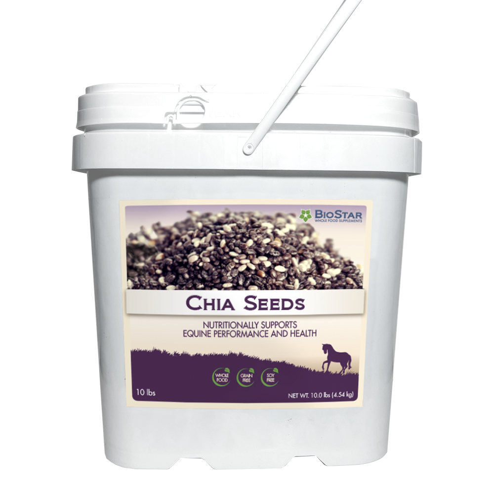 Omega-3 Rich Chia Seeds from BioStar US