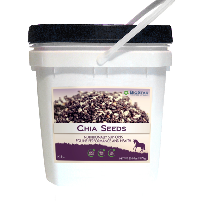 Omega-3 Rich Chia Seeds from BioStar US