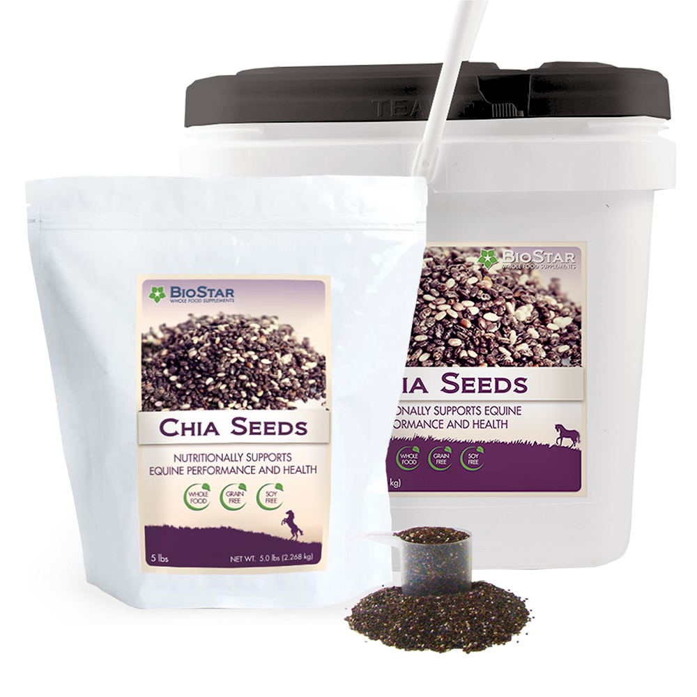 Chia Seeds